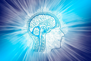 imagem perfil de aprendizagem